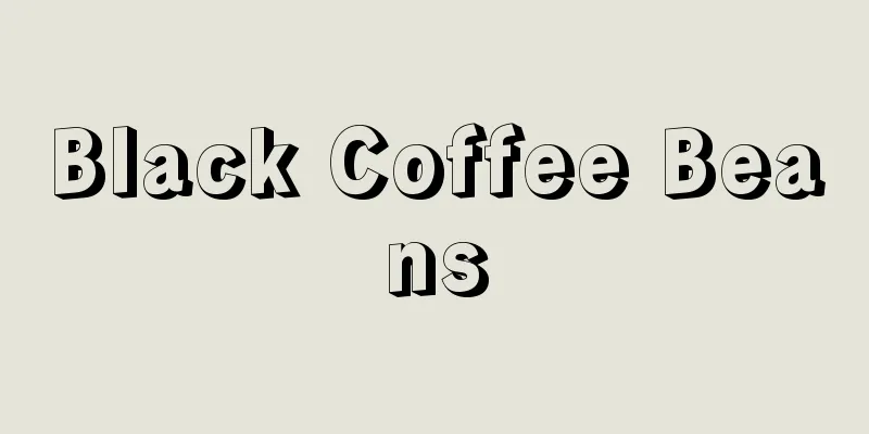 Black Coffee Beans