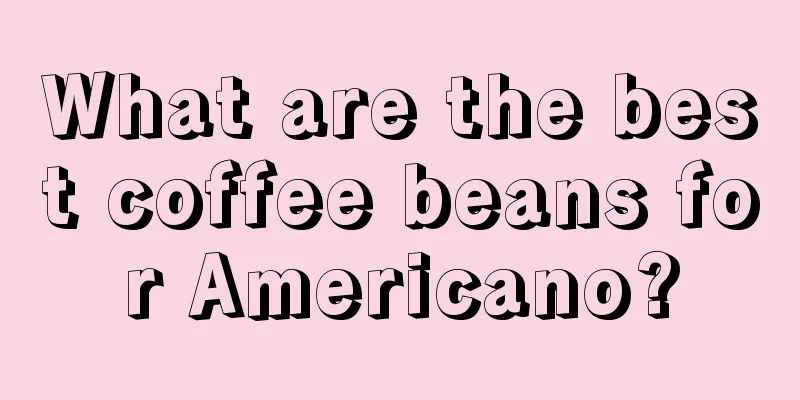 What are the best coffee beans for Americano?