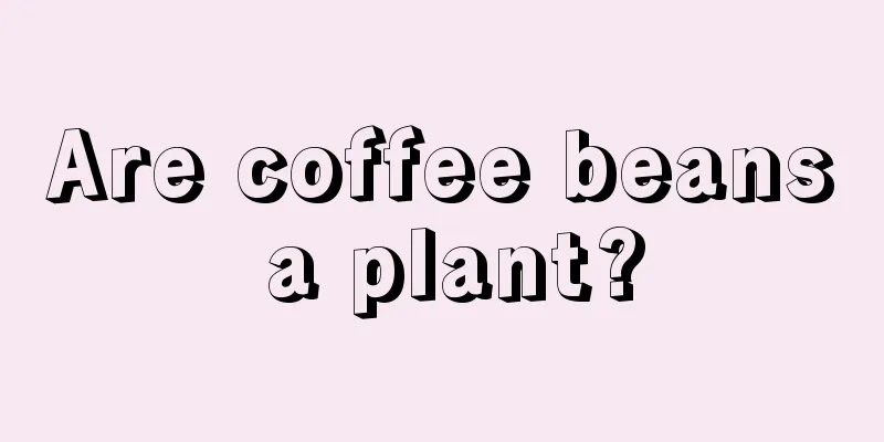 Are coffee beans a plant?