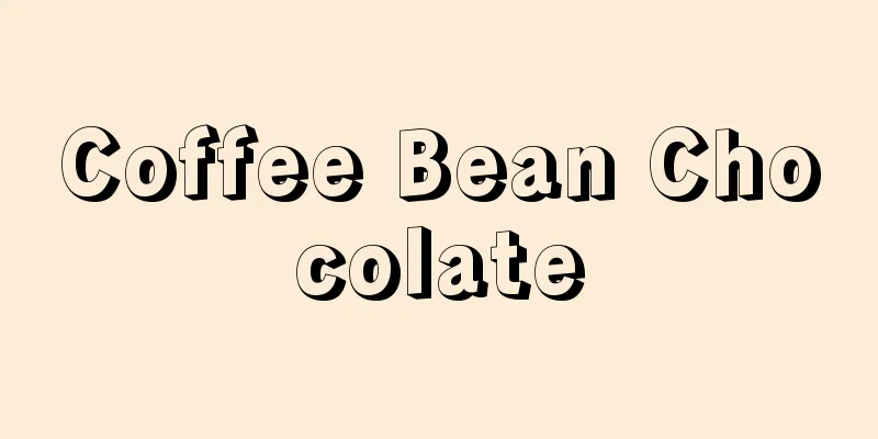 Coffee Bean Chocolate