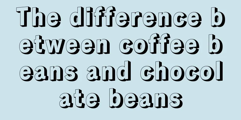 The difference between coffee beans and chocolate beans