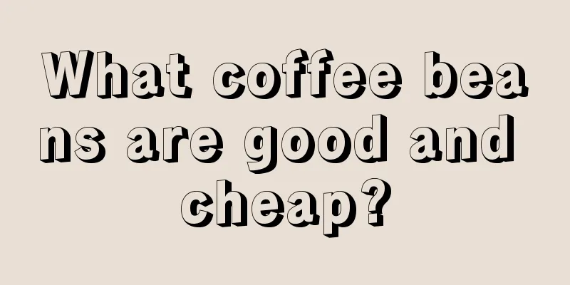 What coffee beans are good and cheap?