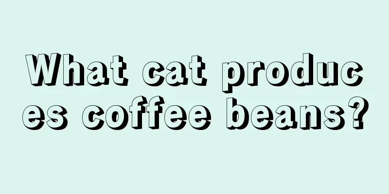 What cat produces coffee beans?