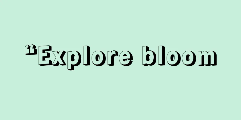 “Explore bloom