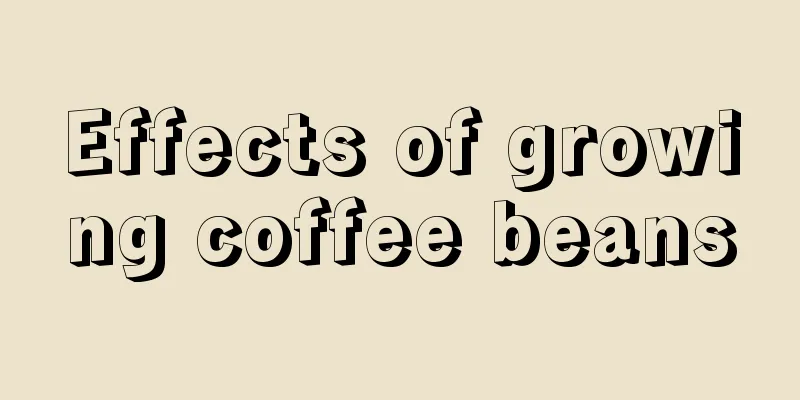 Effects of growing coffee beans