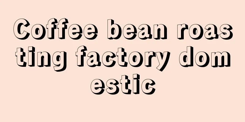 Coffee bean roasting factory domestic