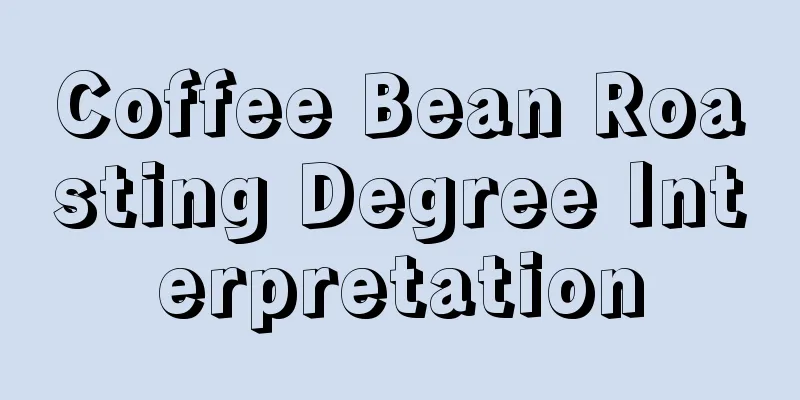 Coffee Bean Roasting Degree Interpretation