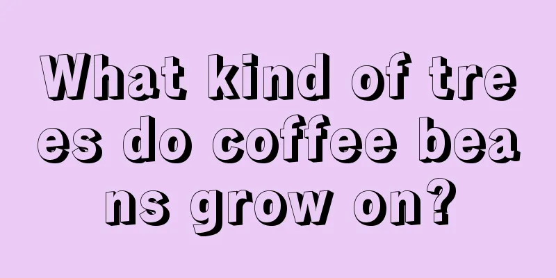 What kind of trees do coffee beans grow on?