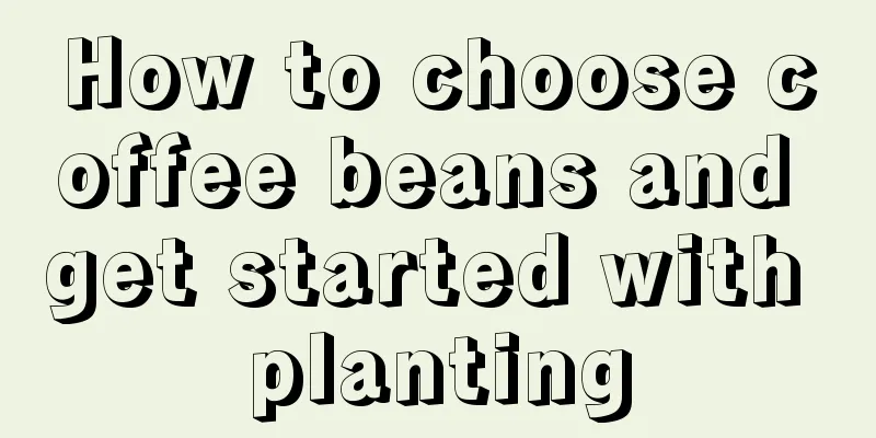 How to choose coffee beans and get started with planting