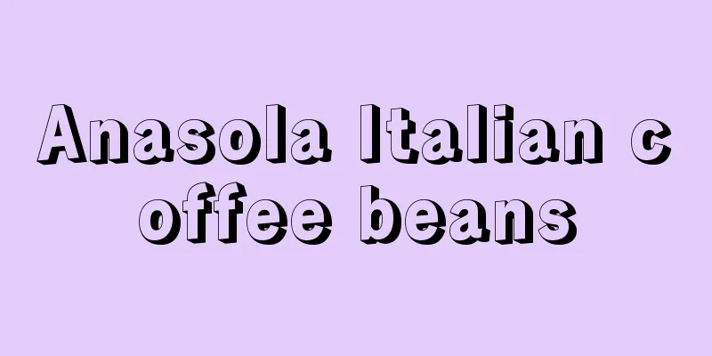 Anasola Italian coffee beans