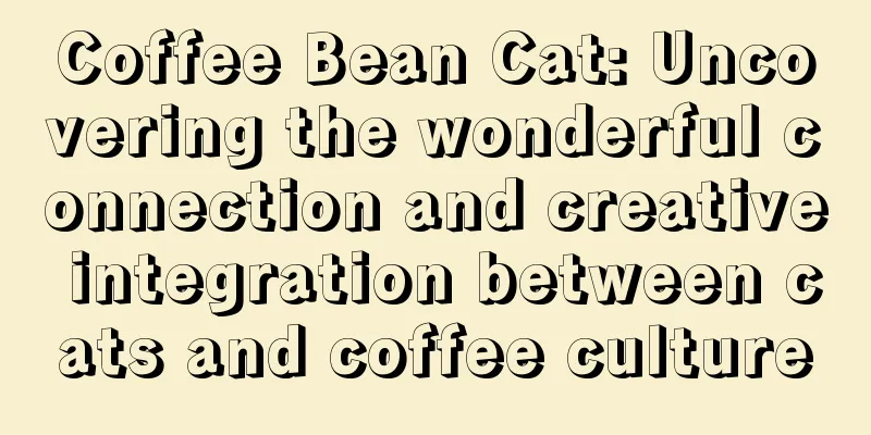 Coffee Bean Cat: Uncovering the wonderful connection and creative integration between cats and coffee culture