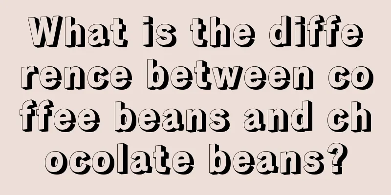 What is the difference between coffee beans and chocolate beans?