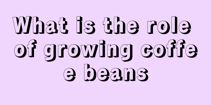 What is the role of growing coffee beans