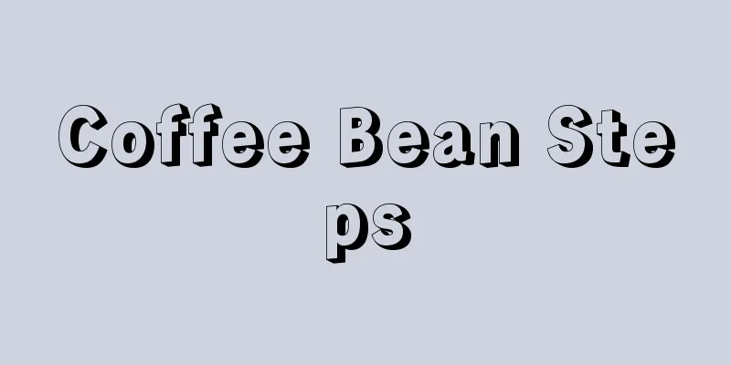 Coffee Bean Steps