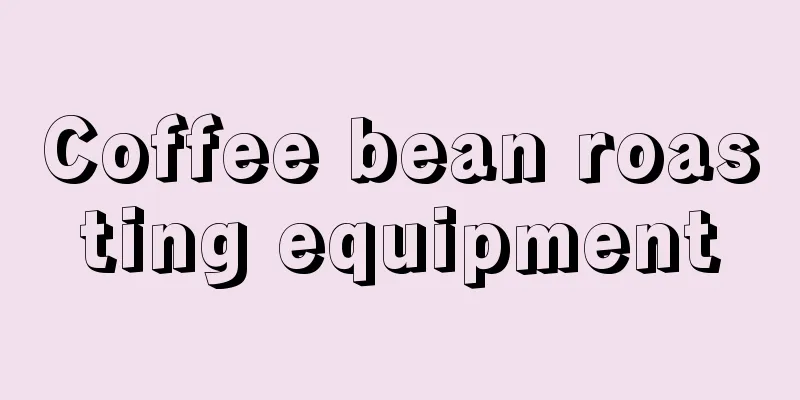 Coffee bean roasting equipment