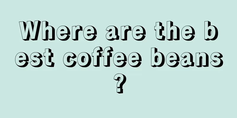 Where are the best coffee beans?