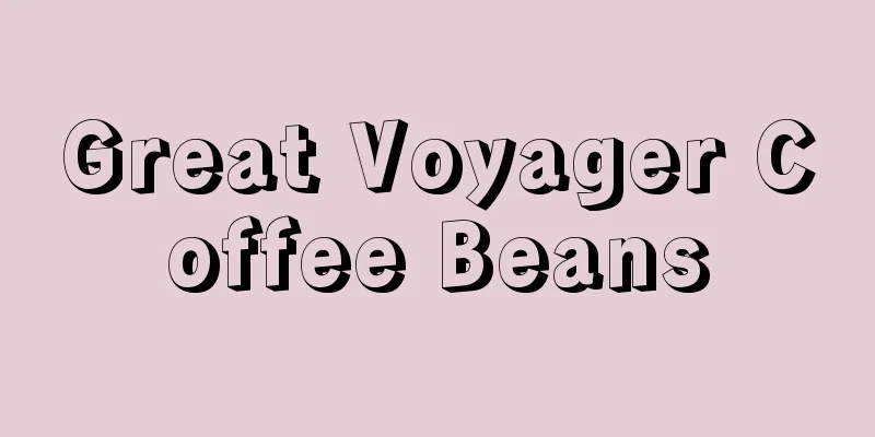 Great Voyager Coffee Beans