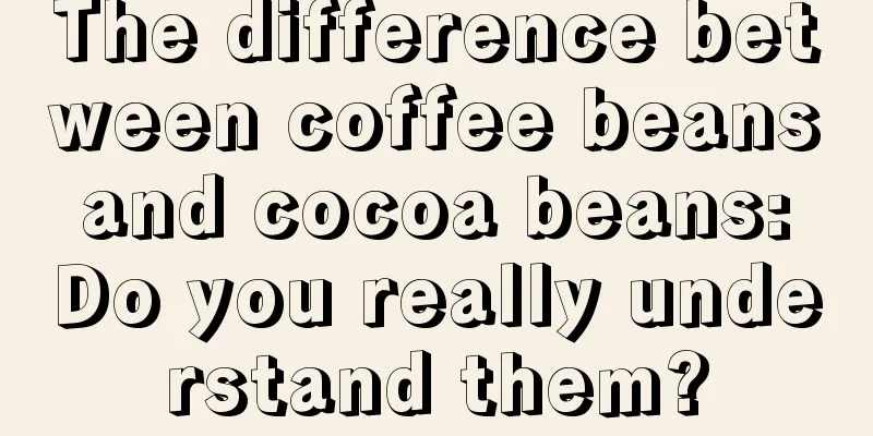 The difference between coffee beans and cocoa beans: Do you really understand them?