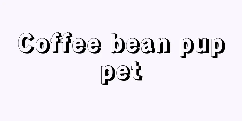 Coffee bean puppet