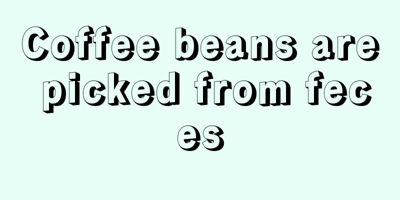 Coffee beans are picked from feces