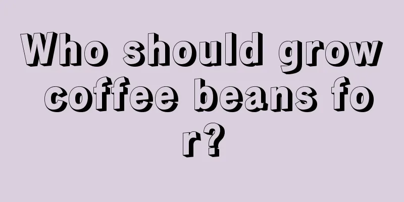 Who should grow coffee beans for?