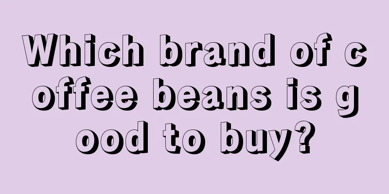 Which brand of coffee beans is good to buy?