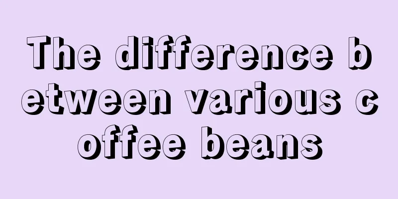 The difference between various coffee beans