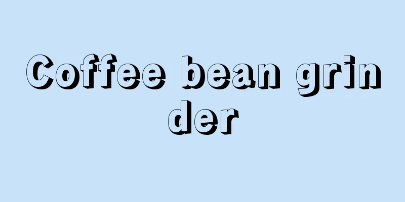 Coffee bean grinder