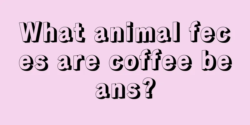 What animal feces are coffee beans?