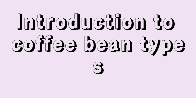 Introduction to coffee bean types