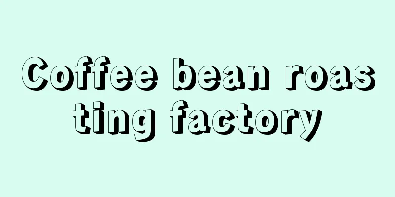 Coffee bean roasting factory