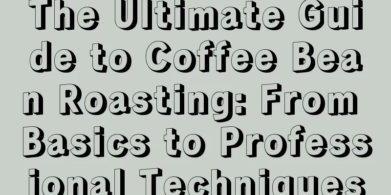 The Ultimate Guide to Coffee Bean Roasting: From Basics to Professional Techniques