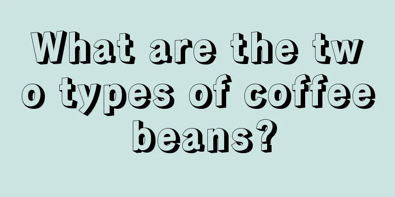 What are the two types of coffee beans?