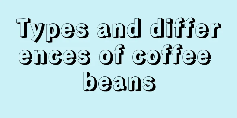 Types and differences of coffee beans