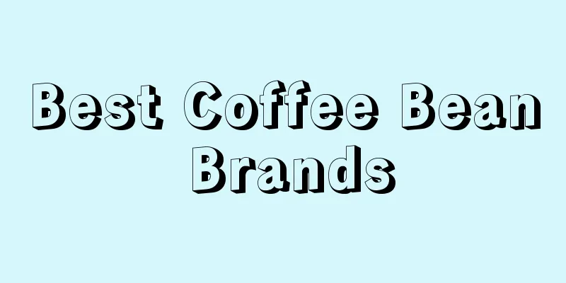 Best Coffee Bean Brands