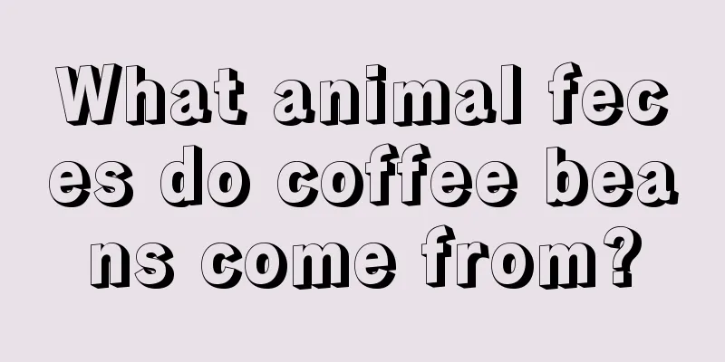 What animal feces do coffee beans come from?