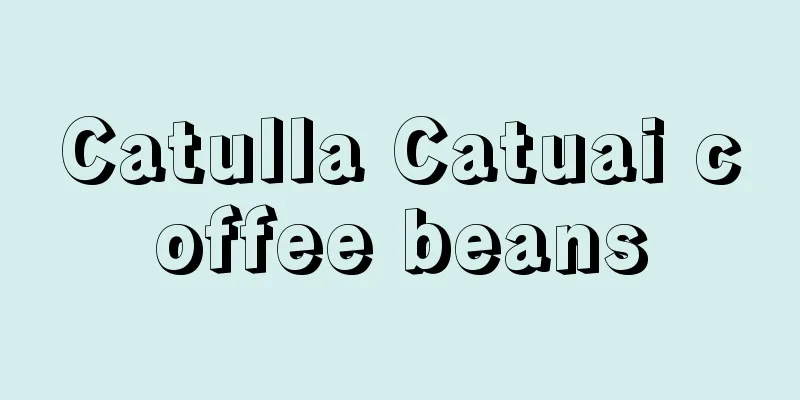 Catulla Catuai coffee beans