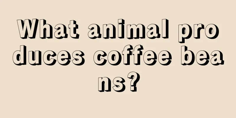 What animal produces coffee beans?