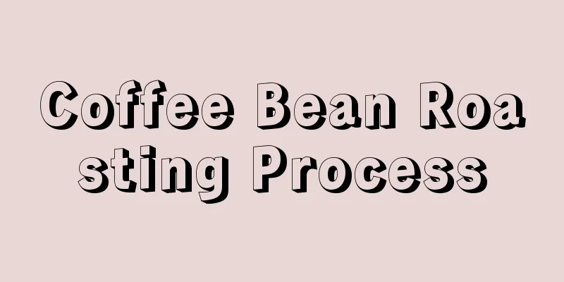 Coffee Bean Roasting Process