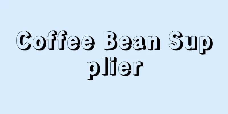 Coffee Bean Supplier