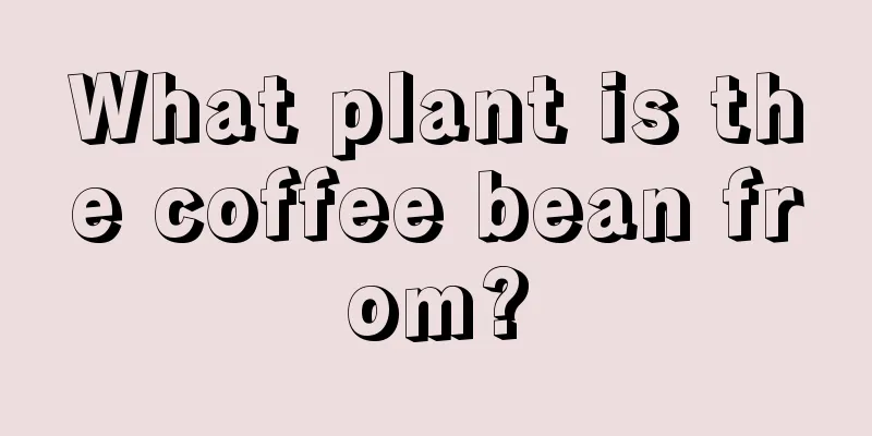 What plant is the coffee bean from?