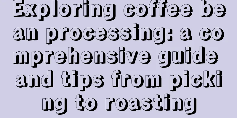 Exploring coffee bean processing: a comprehensive guide and tips from picking to roasting