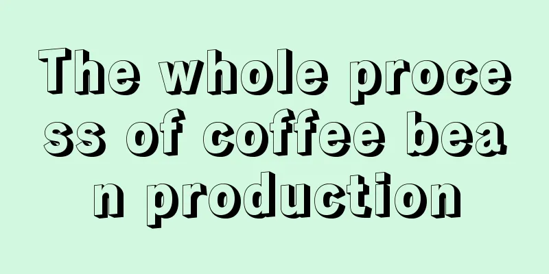 The whole process of coffee bean production