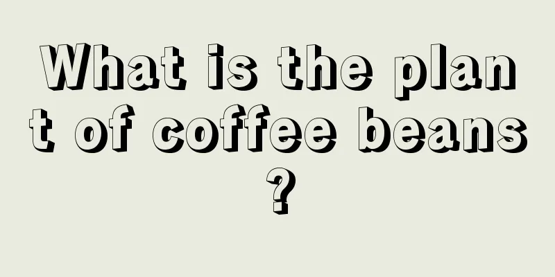 What is the plant of coffee beans?