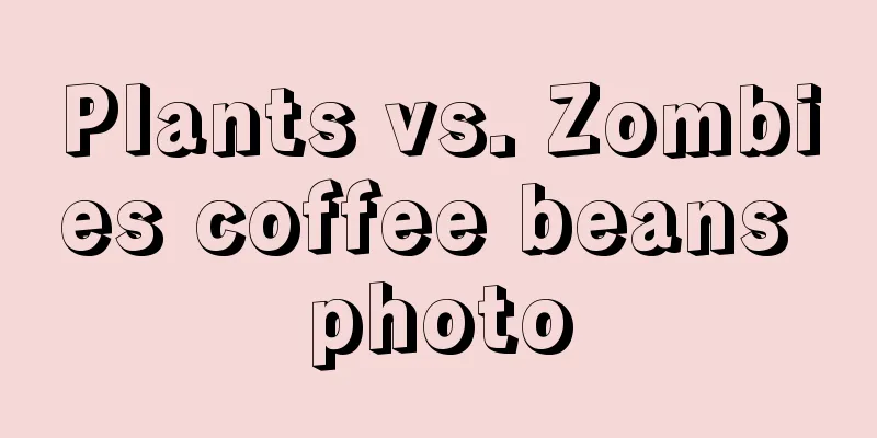 Plants vs. Zombies coffee beans photo