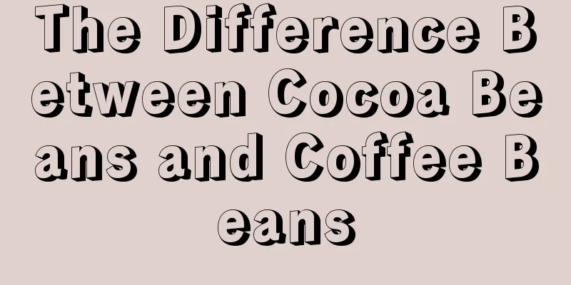 The Difference Between Cocoa Beans and Coffee Beans