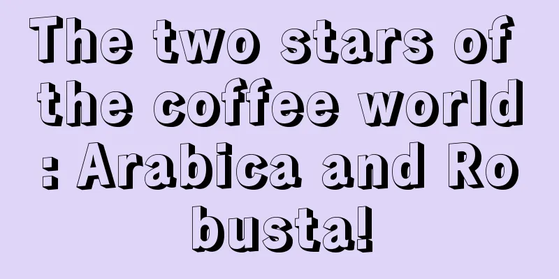 The two stars of the coffee world: Arabica and Robusta!