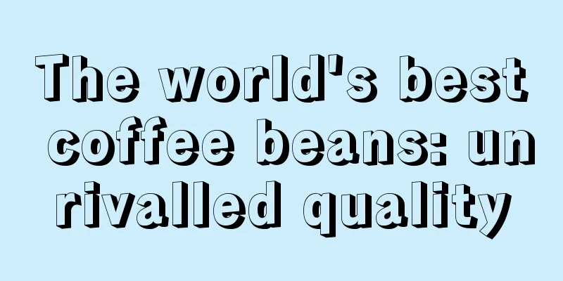 The world's best coffee beans: unrivalled quality