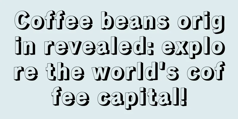 Coffee beans origin revealed: explore the world's coffee capital!