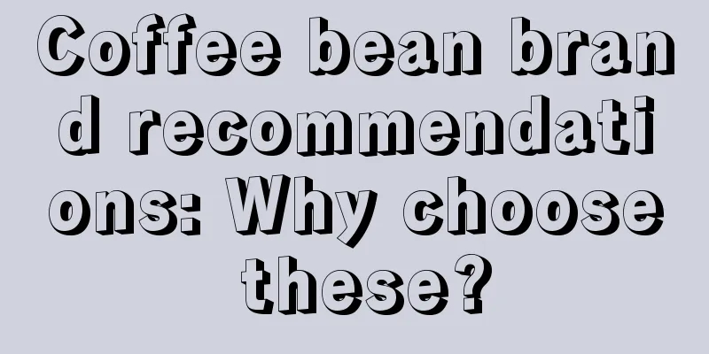 Coffee bean brand recommendations: Why choose these?